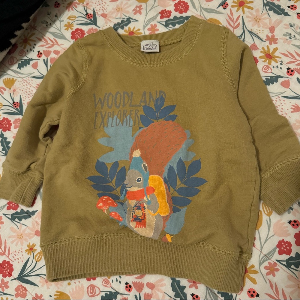 Kooala mossy green critter sweater 6-12 months